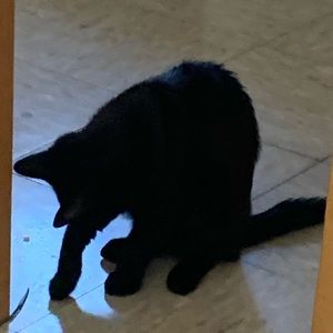 Meet your Posher, Shawn